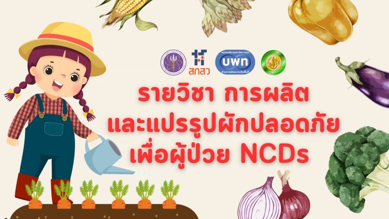 การผลิตและแปรรูปผักปลอดภัยเพื่อผู้ป่วย NCDs